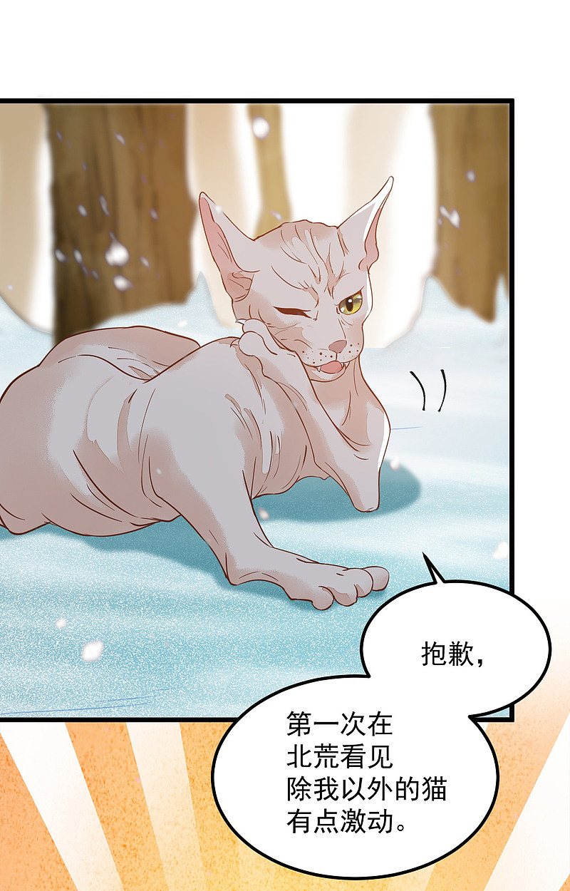 《杀手王妃不好惹》漫画最新章节57-她是我的猫免费下拉式在线观看章节第【26】张图片