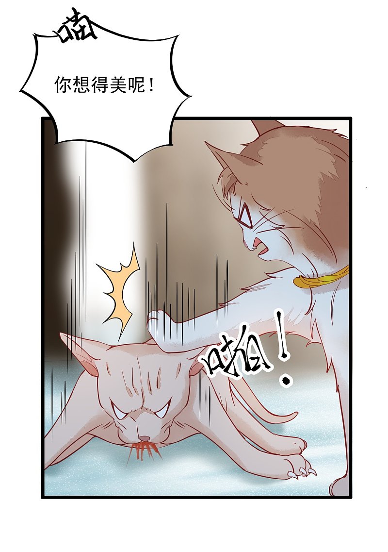 《杀手王妃不好惹》漫画最新章节57-她是我的猫免费下拉式在线观看章节第【30】张图片