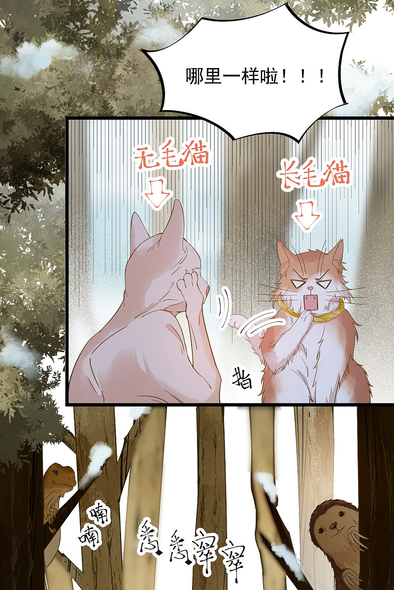 《杀手王妃不好惹》漫画最新章节57-她是我的猫免费下拉式在线观看章节第【32】张图片