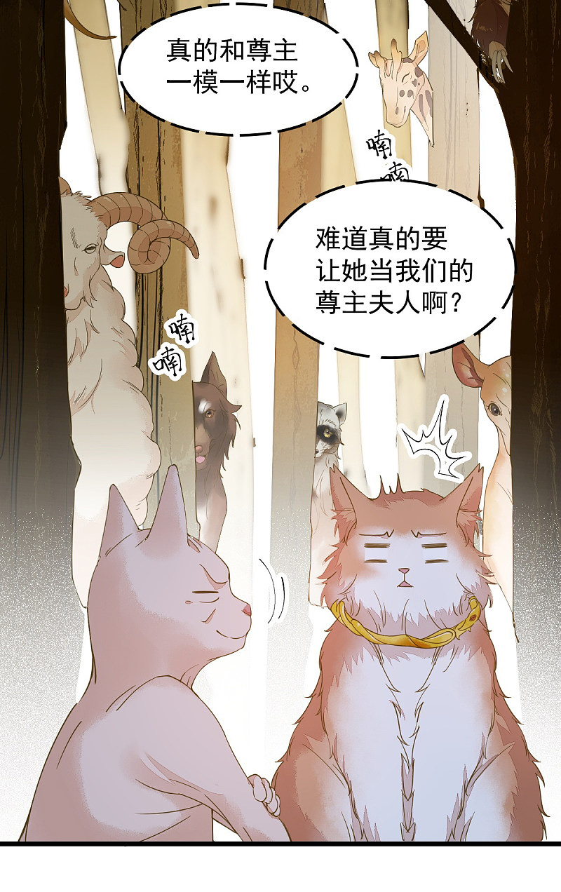 《杀手王妃不好惹》漫画最新章节57-她是我的猫免费下拉式在线观看章节第【33】张图片