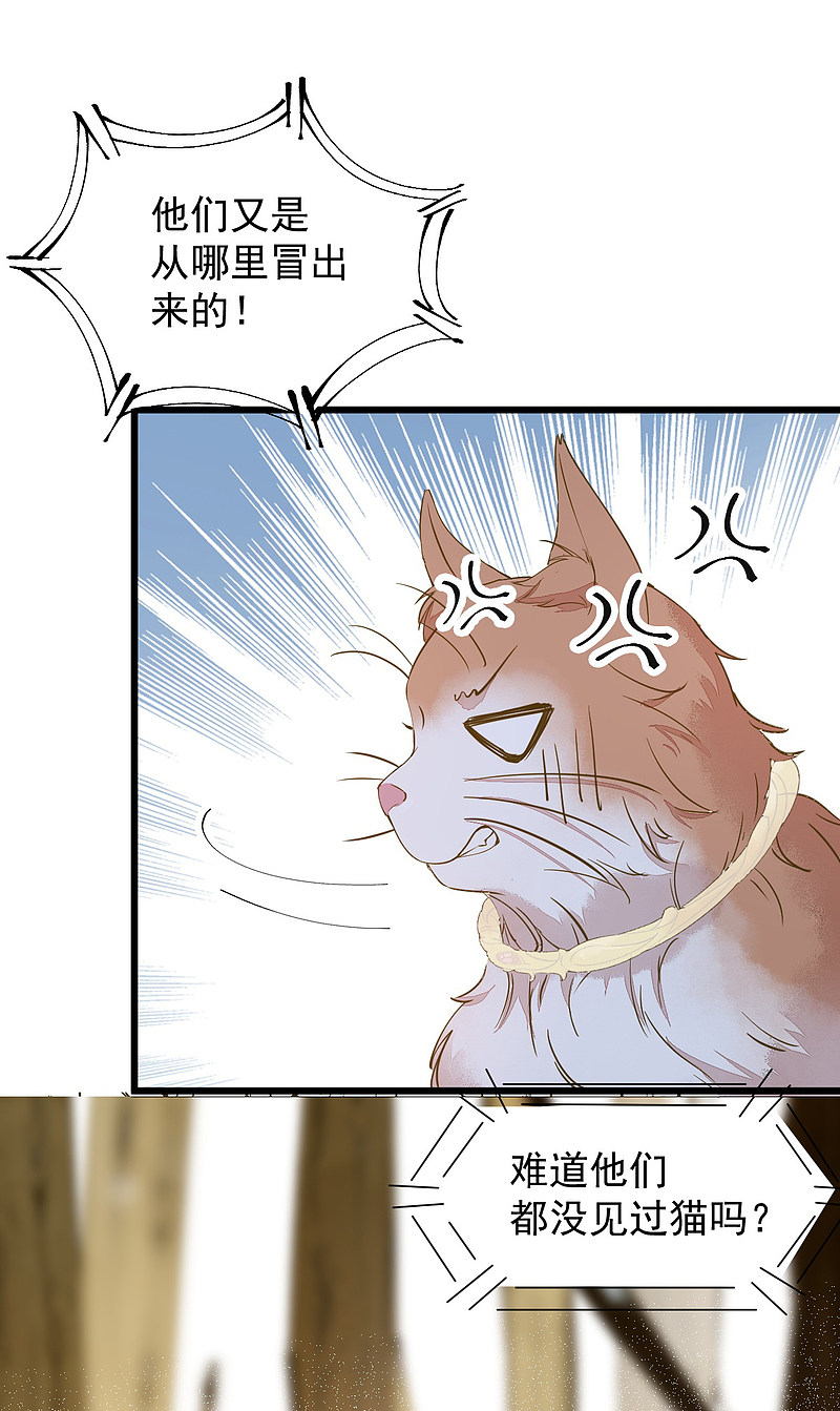 《杀手王妃不好惹》漫画最新章节57-她是我的猫免费下拉式在线观看章节第【34】张图片