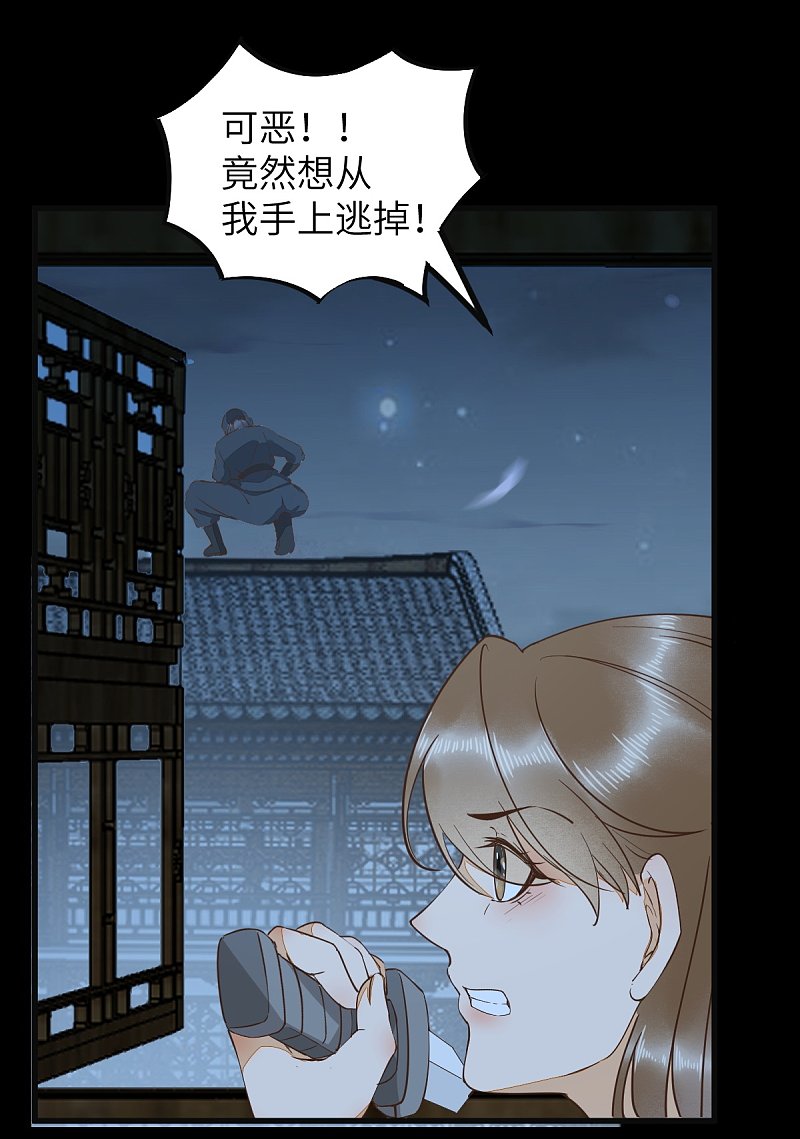 《杀手王妃不好惹》漫画最新章节71-遇刺免费下拉式在线观看章节第【30】张图片