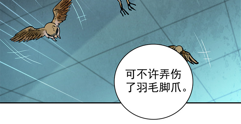 【神雕侠侣】漫画-（第三十七话 习武）章节漫画下拉式图片-12.jpg