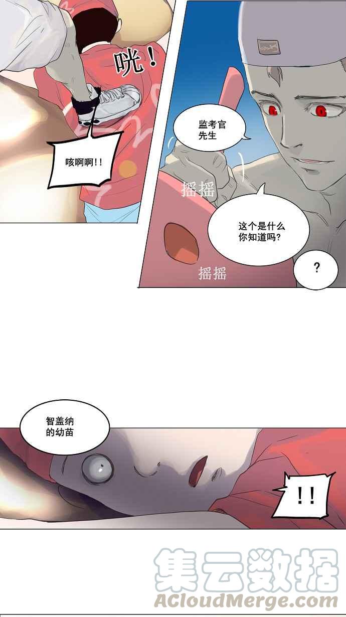 《神之塔》漫画最新章节[第2季] 第33话 智盖纳之花免费下拉式在线观看章节第【41】张图片