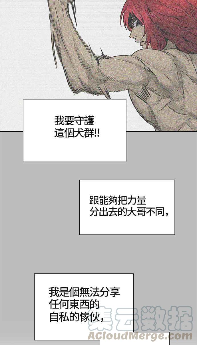 《神之塔》漫画最新章节[第3季] 第36话 -与和平共处的城墙-免费下拉式在线观看章节第【101】张图片