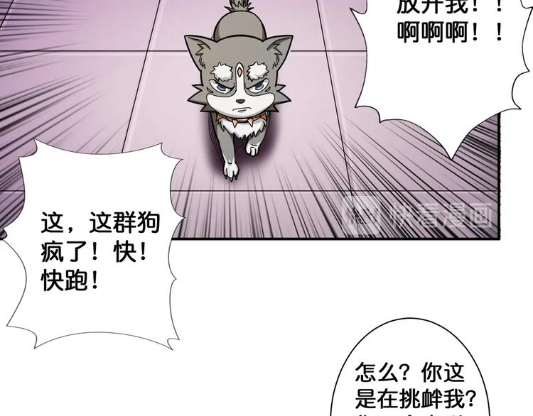 《噬神纪》漫画最新章节第102话 你想变强吗免费下拉式在线观看章节第【11】张图片