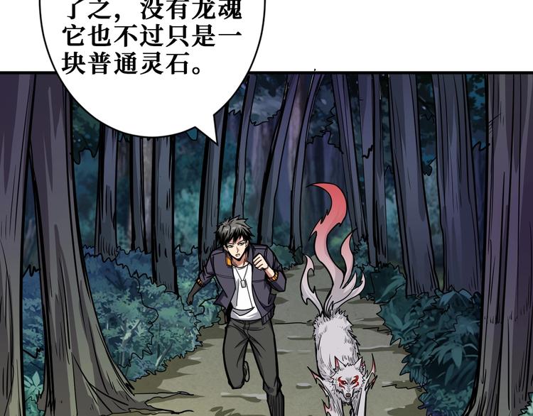 《噬神纪》漫画最新章节第204话 强者的博弈免费下拉式在线观看章节第【69】张图片