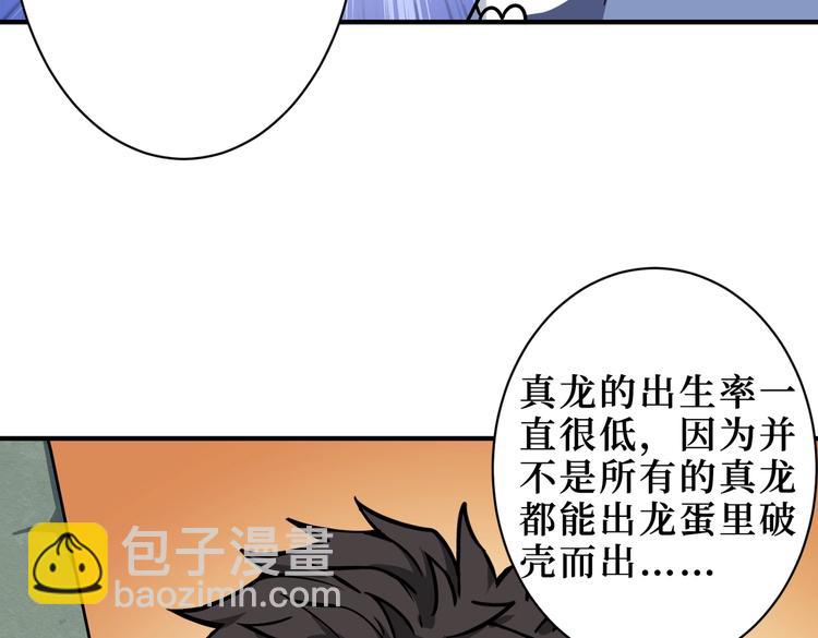 《噬神纪》漫画最新章节第223话 集齐七颗龙珠！免费下拉式在线观看章节第【14】张图片