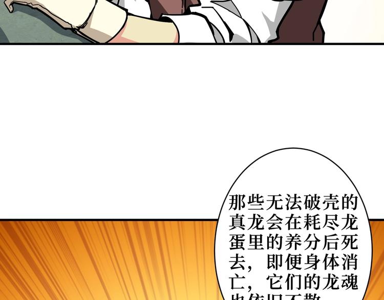 《噬神纪》漫画最新章节第223话 集齐七颗龙珠！免费下拉式在线观看章节第【16】张图片