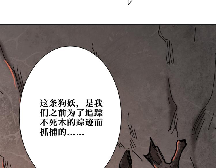 《噬神纪》漫画最新章节第265话 绝望之森免费下拉式在线观看章节第【144】张图片