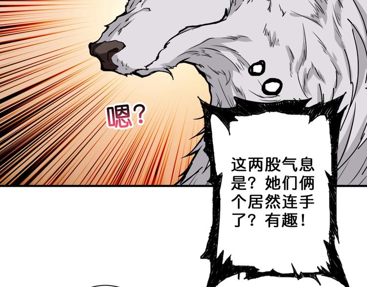 《噬神纪》漫画最新章节第58话 联手免费下拉式在线观看章节第【68】张图片