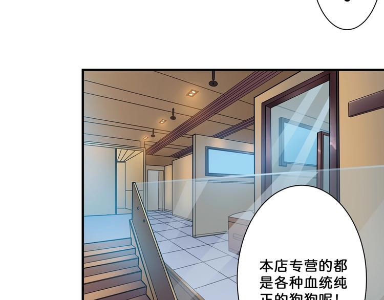 《噬神纪》漫画最新章节第66话 老祖免费下拉式在线观看章节第【20】张图片