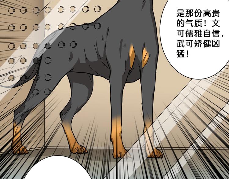 《噬神纪》漫画最新章节第66话 老祖免费下拉式在线观看章节第【22】张图片