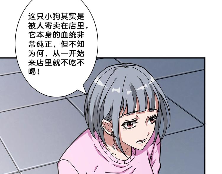 《噬神纪》漫画最新章节第66话 老祖免费下拉式在线观看章节第【59】张图片