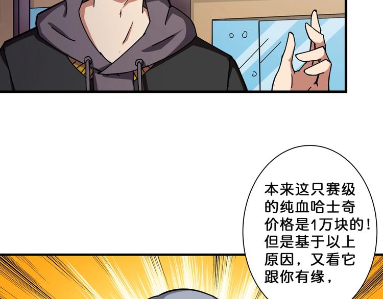 《噬神纪》漫画最新章节第66话 老祖免费下拉式在线观看章节第【62】张图片