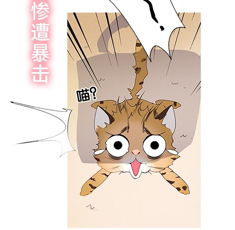 世无良猫-预告全彩韩漫标签