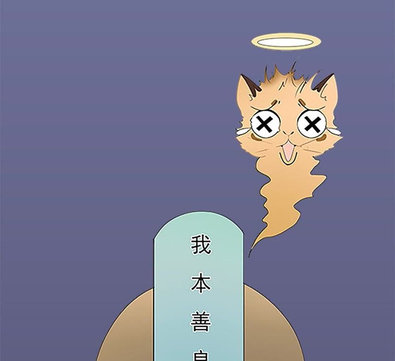 《世无良猫》漫画最新章节预告免费下拉式在线观看章节第【7】张图片