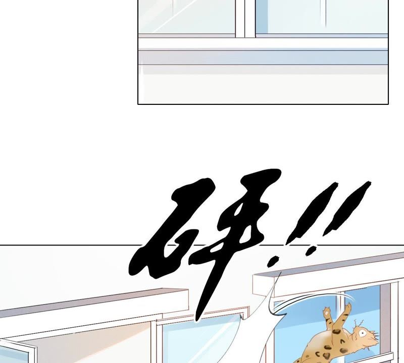 《世无良猫》漫画最新章节第1话 千年猫男的悲催奇遇免费下拉式在线观看章节第【33】张图片