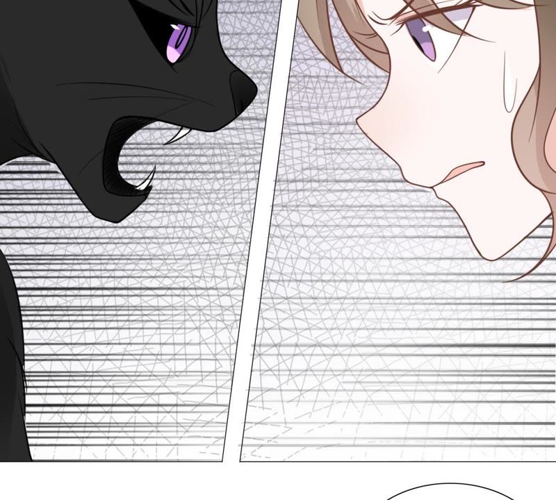 《世无良猫》漫画最新章节第10话 亲爱的宿敌免费下拉式在线观看章节第【40】张图片