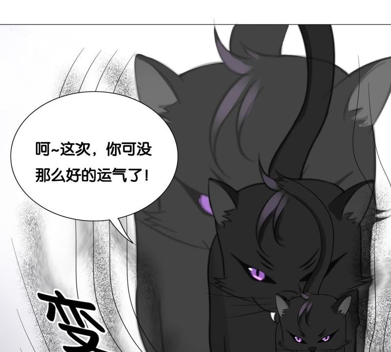 《世无良猫》漫画最新章节第10话 亲爱的宿敌免费下拉式在线观看章节第【45】张图片