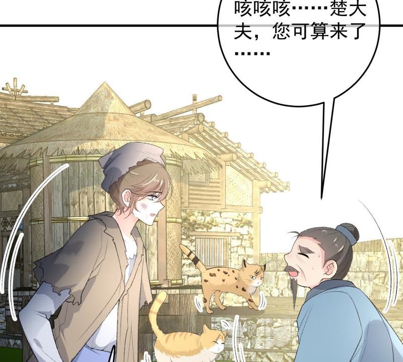 《世无良猫》漫画最新章节第102话 被抓个现行！免费下拉式在线观看章节第【33】张图片