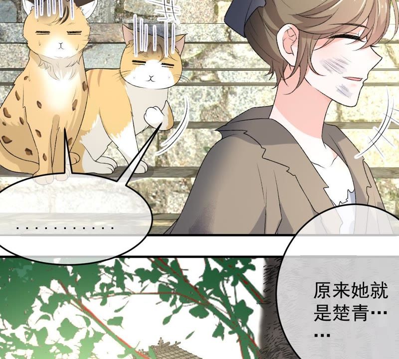 《世无良猫》漫画最新章节第102话 被抓个现行！免费下拉式在线观看章节第【38】张图片