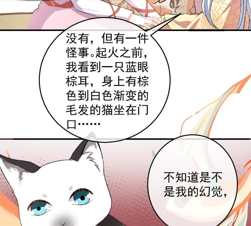 《世无良猫》漫画最新章节第118话 痛失至亲免费下拉式在线观看章节第【33】张图片