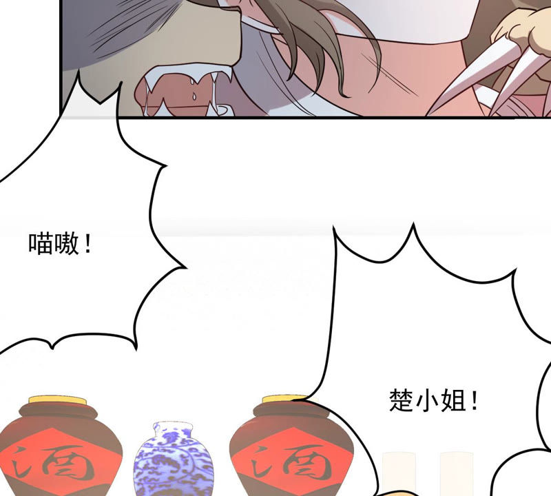 《世无良猫》漫画最新章节第123话 特殊的撸猫方式免费下拉式在线观看章节第【25】张图片