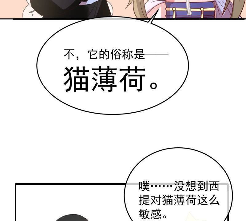 《世无良猫》漫画最新章节第123话 特殊的撸猫方式免费下拉式在线观看章节第【43】张图片