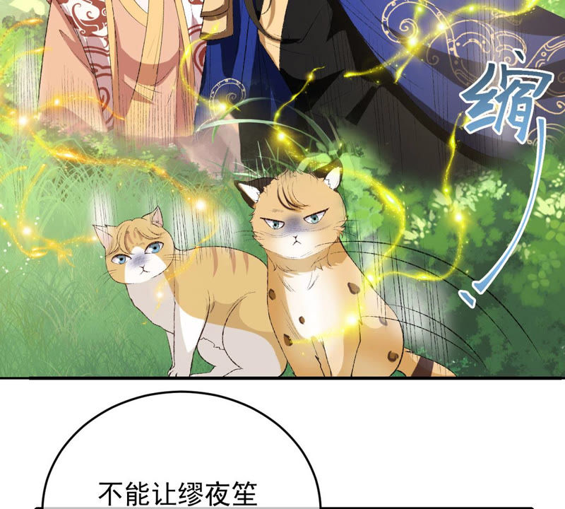 《世无良猫》漫画最新章节第124话 神秘的“山神”免费下拉式在线观看章节第【10】张图片