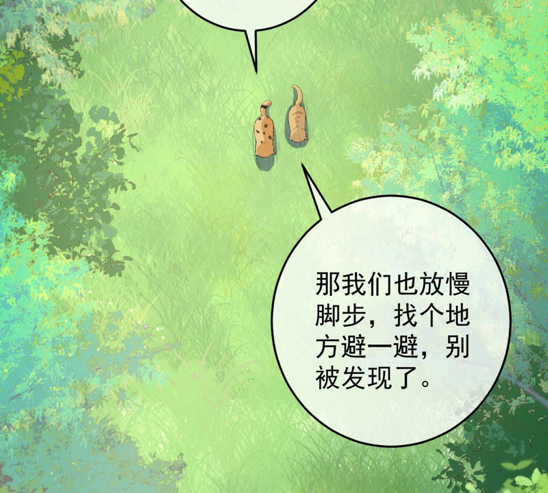 《世无良猫》漫画最新章节第124话 神秘的“山神”免费下拉式在线观看章节第【4】张图片