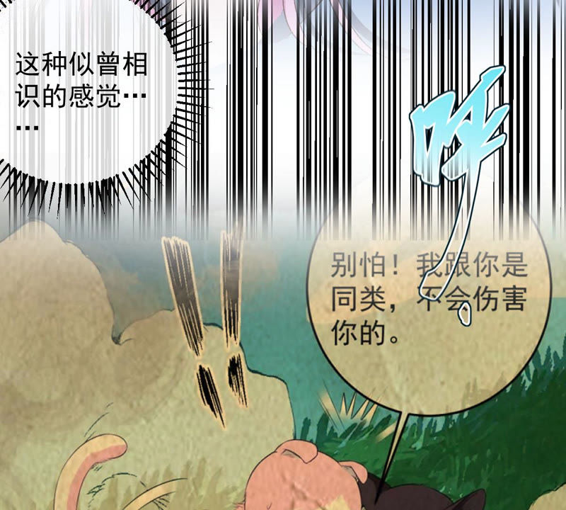 《世无良猫》漫画最新章节第126话 变回可爱的小猫咪免费下拉式在线观看章节第【41】张图片