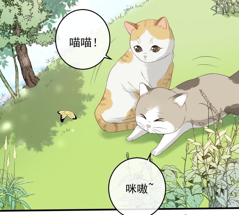 《世无良猫》漫画最新章节第13话 主动献吻免费下拉式在线观看章节第【21】张图片