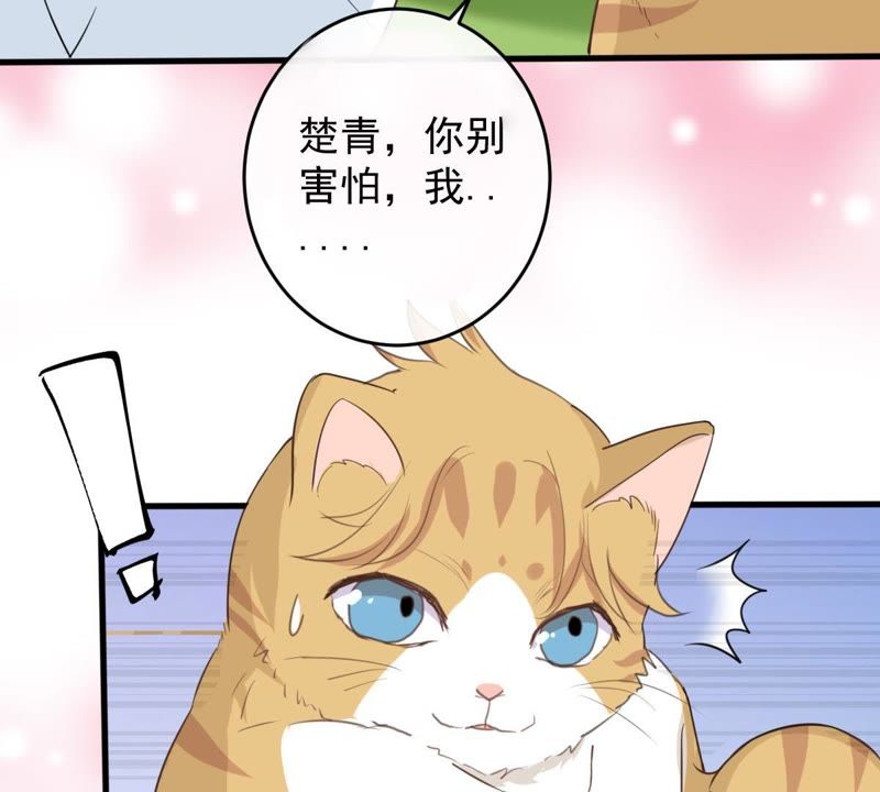 《世无良猫》漫画最新章节第13话 主动献吻免费下拉式在线观看章节第【46】张图片