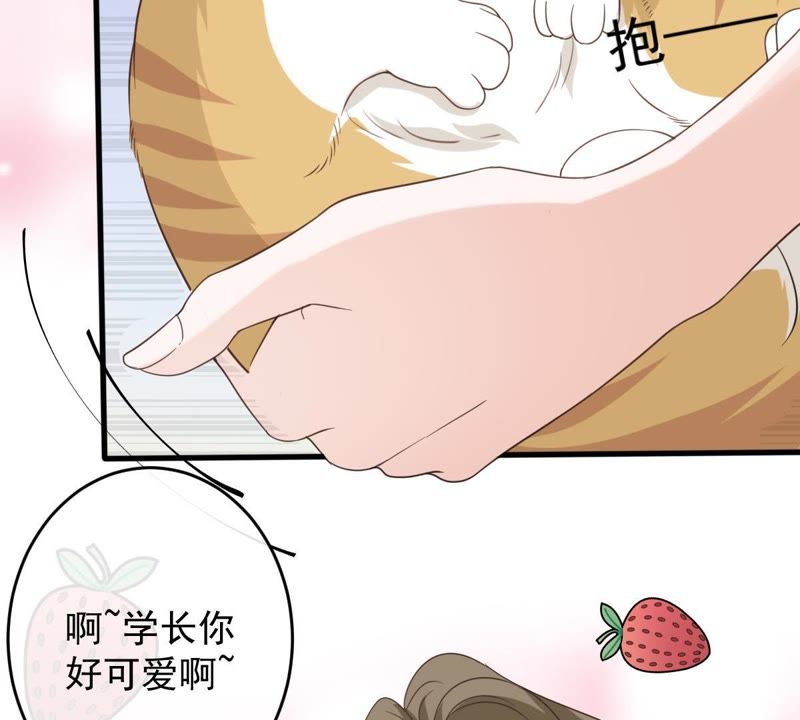 《世无良猫》漫画最新章节第13话 主动献吻免费下拉式在线观看章节第【47】张图片