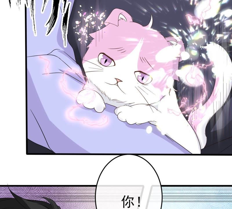 《世无良猫》漫画最新章节第13话 主动献吻免费下拉式在线观看章节第【5】张图片