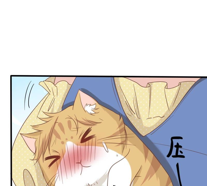 《世无良猫》漫画最新章节第13话 主动献吻免费下拉式在线观看章节第【50】张图片