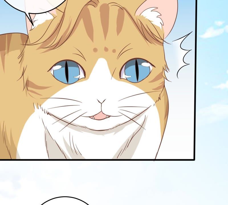 《世无良猫》漫画最新章节第13话 主动献吻免费下拉式在线观看章节第【58】张图片