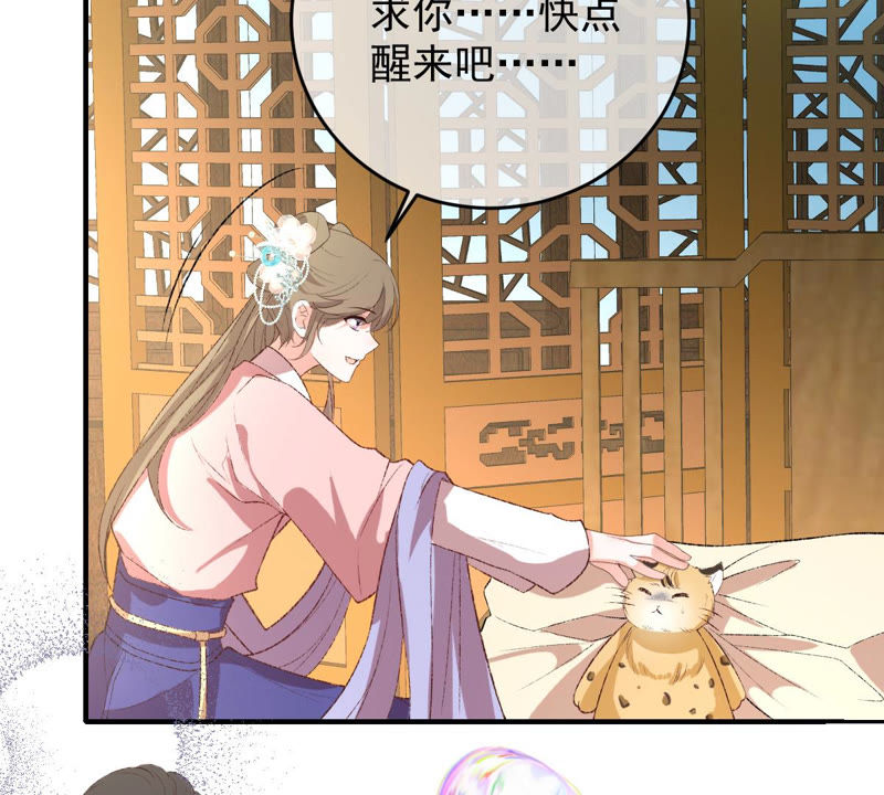 《世无良猫》漫画最新章节第128话 求求你快醒来！免费下拉式在线观看章节第【49】张图片