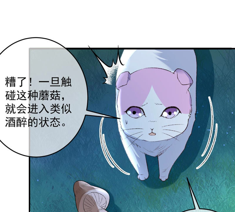 《世无良猫》漫画最新章节第129话 终于露出马脚了免费下拉式在线观看章节第【31】张图片