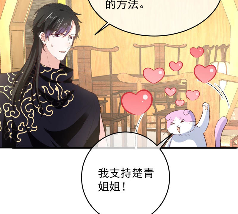 《世无良猫》漫画最新章节第130话 戚小妹的下落免费下拉式在线观看章节第【36】张图片