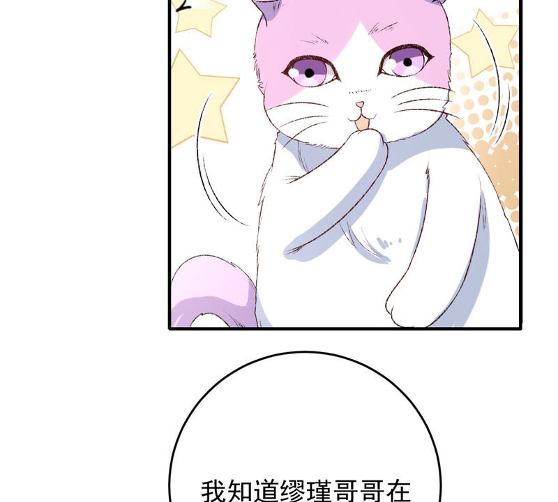 《世无良猫》漫画最新章节第130话 戚小妹的下落免费下拉式在线观看章节第【40】张图片