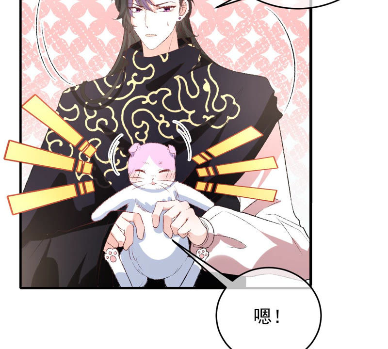 《世无良猫》漫画最新章节第130话 戚小妹的下落免费下拉式在线观看章节第【46】张图片