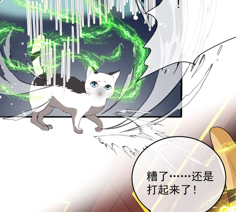 《世无良猫》漫画最新章节第134话 人皮面具被揭穿！免费下拉式在线观看章节第【34】张图片