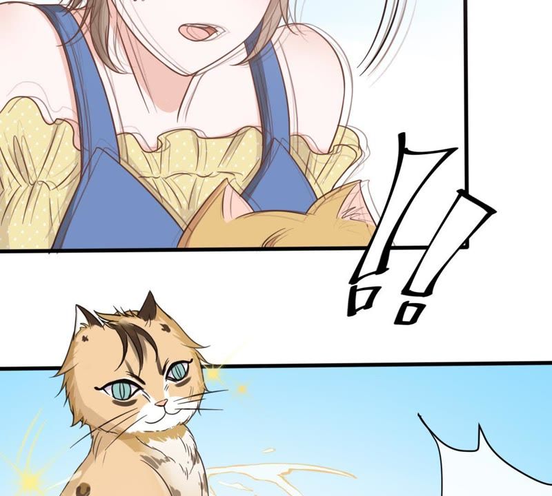 《世无良猫》漫画最新章节第14话 难以启齿的要求免费下拉式在线观看章节第【12】张图片