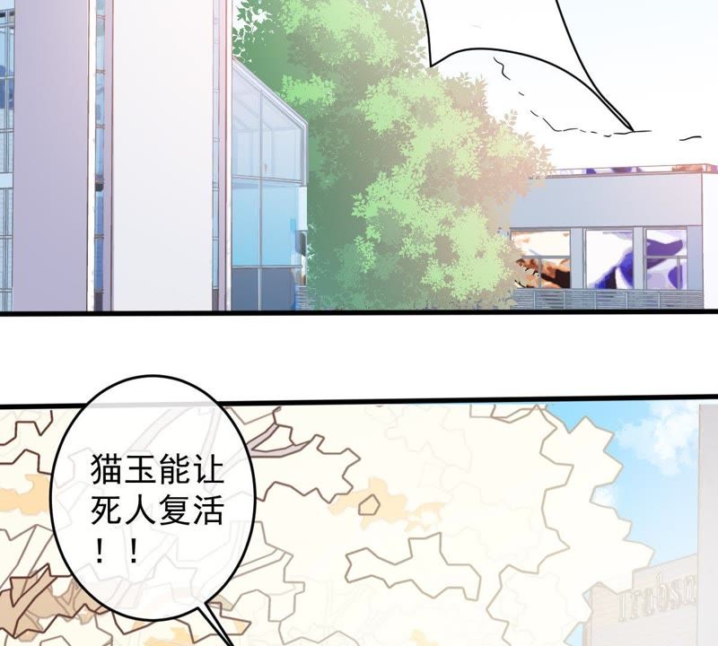 《世无良猫》漫画最新章节第14话 难以启齿的要求免费下拉式在线观看章节第【29】张图片