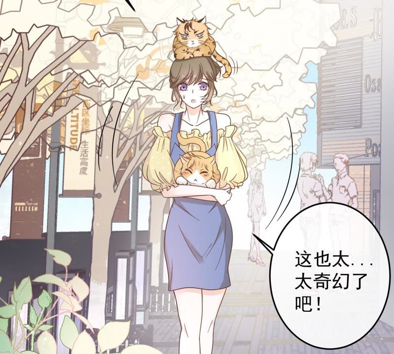 《世无良猫》漫画最新章节第14话 难以启齿的要求免费下拉式在线观看章节第【30】张图片