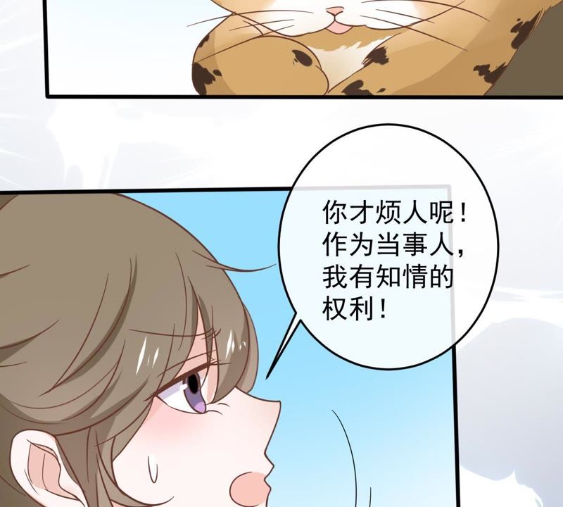 《世无良猫》漫画最新章节第14话 难以启齿的要求免费下拉式在线观看章节第【37】张图片