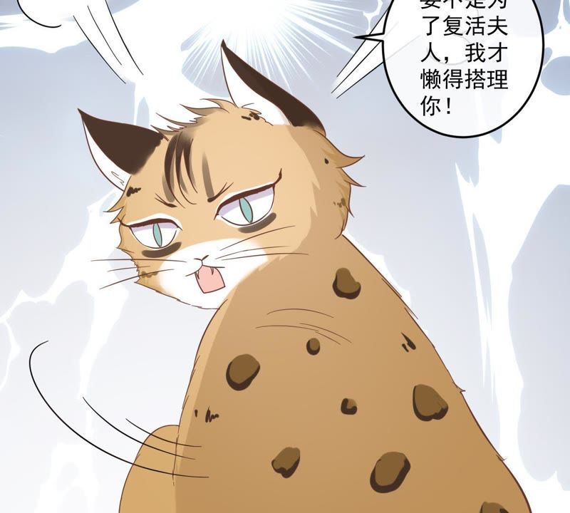 《世无良猫》漫画最新章节第14话 难以启齿的要求免费下拉式在线观看章节第【39】张图片