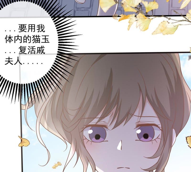 《世无良猫》漫画最新章节第14话 难以启齿的要求免费下拉式在线观看章节第【48】张图片